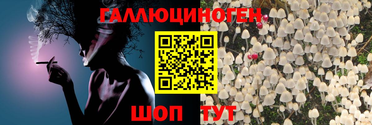 Псилоцибиновые грибы мухоморы  Вход с VPN  Аксай 