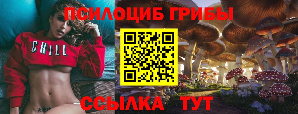 Псилоцибиновые грибы MAGIC MUSHROOMS Аксай